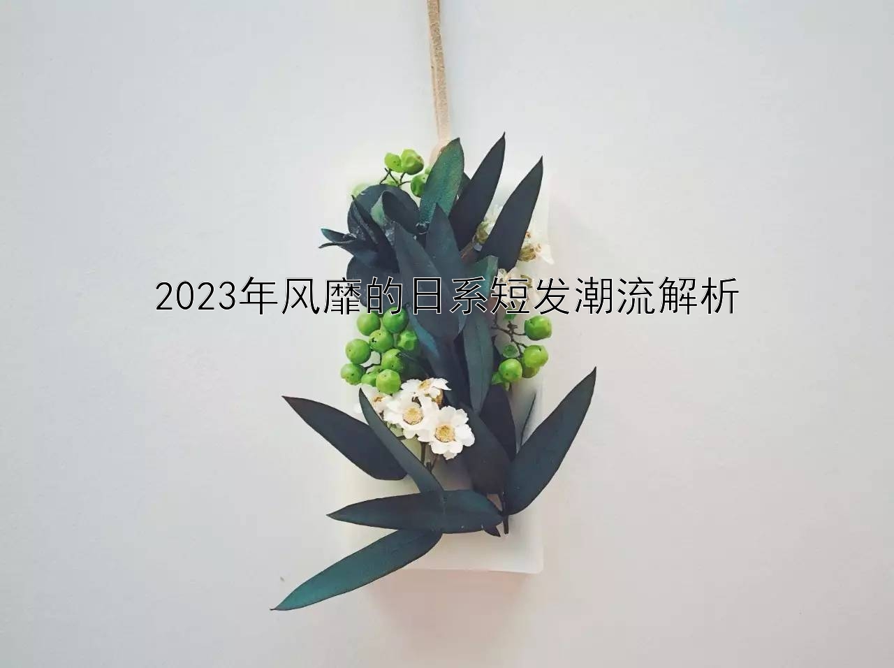 2023年风靡的日系短发潮流解析